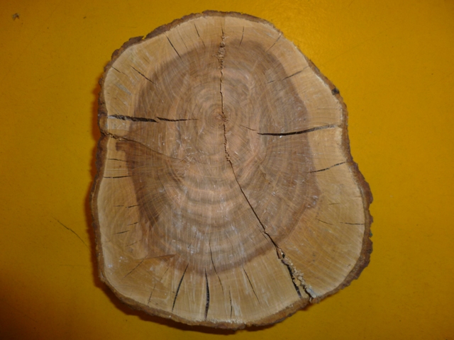 Dezember-2-2015 047 Dezember-2-2015 047